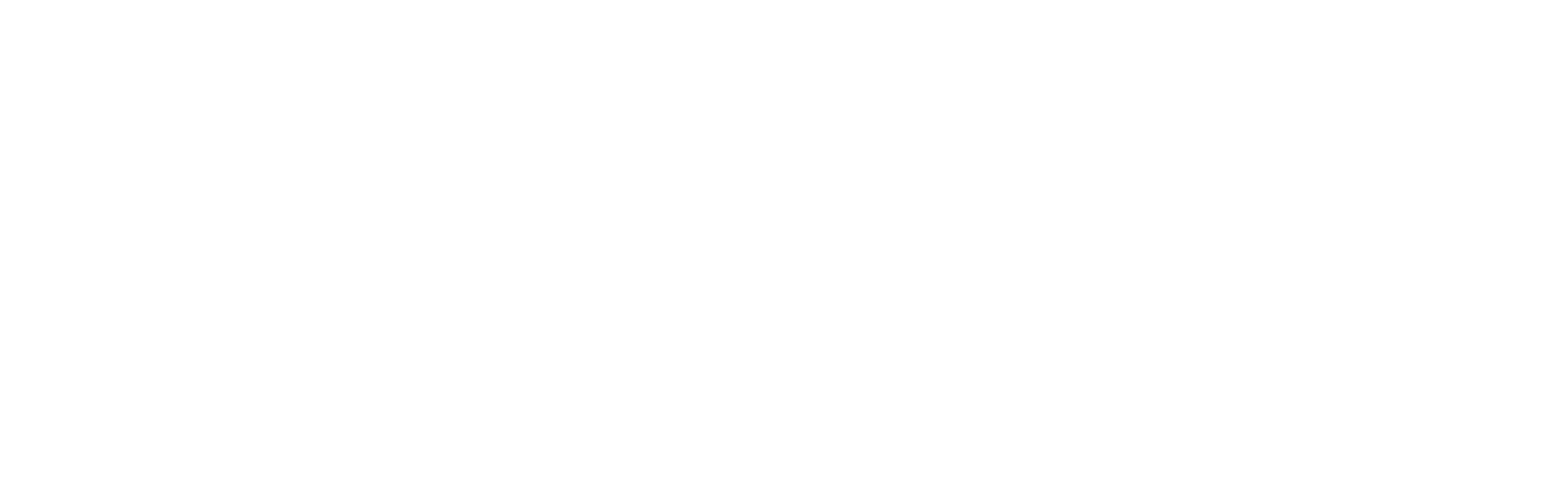 IVDRIP
